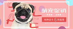 自定义SS采集到Banner