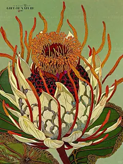 色彩魁星丨三星堆的帝王花之三 - 小红书