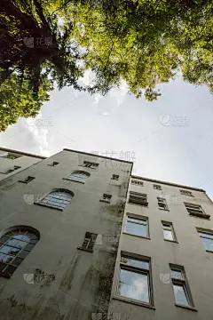 在后院，人类住房和自然之间的对比和张力