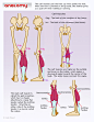 Drawsh: Anatomy