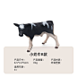 跨境新款仿真软胶创意牛牛农场动物家园装饰摆件儿童认知模型玩具
