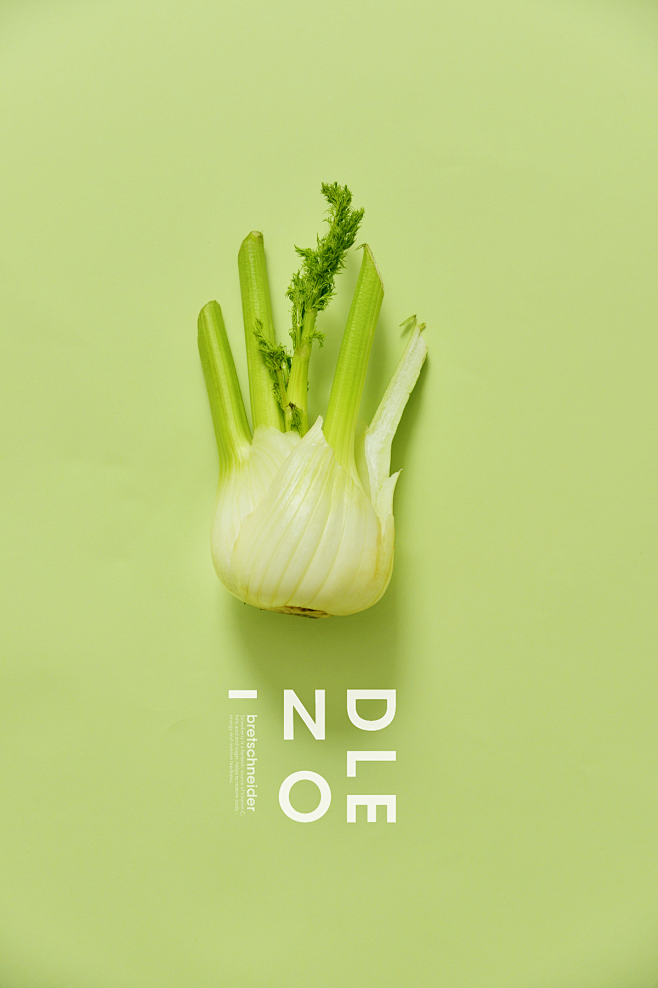 colour+food+design :...