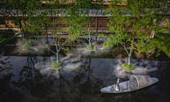 Pzyya采集到S 水景