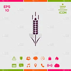 小穗,全麦,裸麦,图标,农业,自然,图像,矢量,分离着色,生长