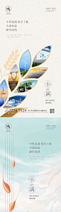 小满节气海报-源文件