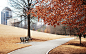 autumn bench parks trees wallpaper (#1558026) / Wallbase.cc