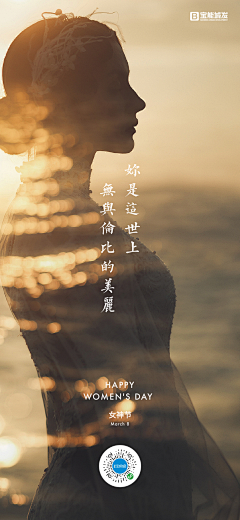 Aaa专业饼干抛光采集到D - 节日