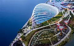 微软必应2013年最佳壁纸/屏保Top10之全球第10名：新加坡滨海湾花园和园中的超级树(SIME /eStock Photo)