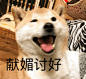 献媚讨好