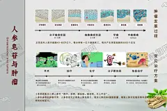 人参医疗展板 【酷图网】人参挂画,人参文化,人参海报,人参广告,野生人参,山参,野生山参,长白山人参,土人参,人参画册,正宗人参,野山参,中药人参,野人参,人参花,高丽野人参,人参展板,人参挂图,长白山参,东北人参,东北野山参,中药,人参皂苷,主要成分,中国风