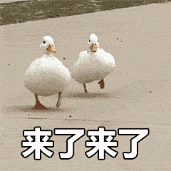 最近很火的「抓鸭子」是什么梗？表情包来了~_花在抖 : 如果喊的是“抓到了”，小伙伴们就要依次学鸭子叫“嘎”一声，一共“嘎”x次；如果喊的是“没抓到”，则继续下一轮，继续一起喊“抓鸭子!抓几只!”…… 今天给大家准备了3套抓鸭子表情 …