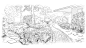 Landscape architecture garden plants Flowers dacha