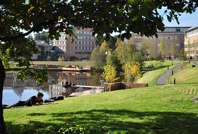 Umeå Campus Park / T...