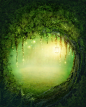 神秘梦幻唯美童话仙境森林树木萤火虫灯光光线烟雾高清摄影图