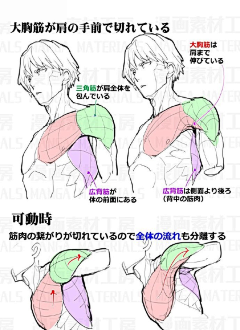 bozi波子君采集到教程与线稿