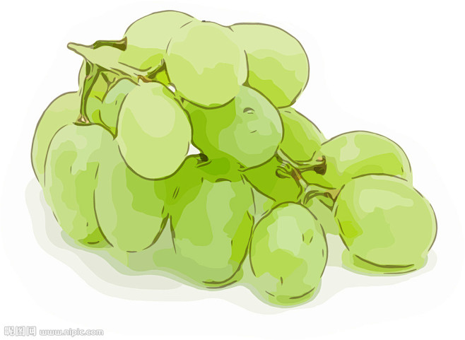 青提矢量手绘素材