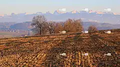 原野 乡村的 自然 户外 旅行 荒野 树木 山 大自然壁纸