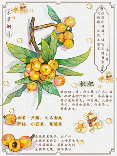 yZiDRwhg采集到绘画