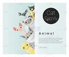 野生猫科动物,可爱的,背景,两只动物,动物家庭,史芬克斯无毛猫,宠物,暹罗猫,小猫,猫