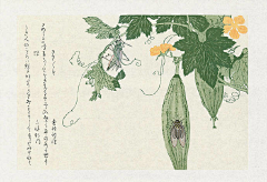 逃逃逃逃走啊采集到绘画】扁平向