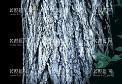 树干  - 源文件下载【酷图网】沧桑树干插画,纹理树干插画,树皮机理插画,树纹插画,树皮纹插画,