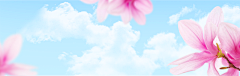 王一博的绯闻女友采集到banner背景