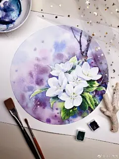 水彩---樱花-梨花-桃花-海棠花、梅花 - 高清图片，堆糖，美图壁纸兴趣社区