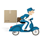Choose the Best Courier Services  Courier Delivery Services Bocsit http://www.bocsit.com: 
