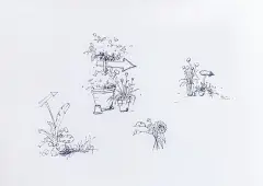 精致小场地、自然狂野大气自然风布景