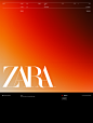 Behance 上的 ZARA. Concept App