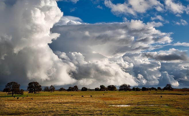 免費 多雲的天空下的棕色草田 圖庫相片