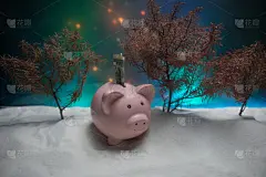 雪,猪,新的,2019,符号,猪年,柔和,枝,贺卡