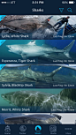 04 shark list
