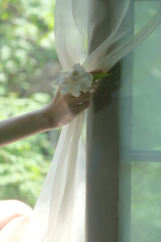 栀子花 / - 一颗栗子说- - CNU...