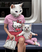 Animal-Human Hybrids Spotted on New York Subway in Surreal Paintings by Matthew Grabelsky : Los Angeles-based artist Matthew Grabelsky (previously) is back with a new collection of oil paintings of people with animal heads casually navigating the New York