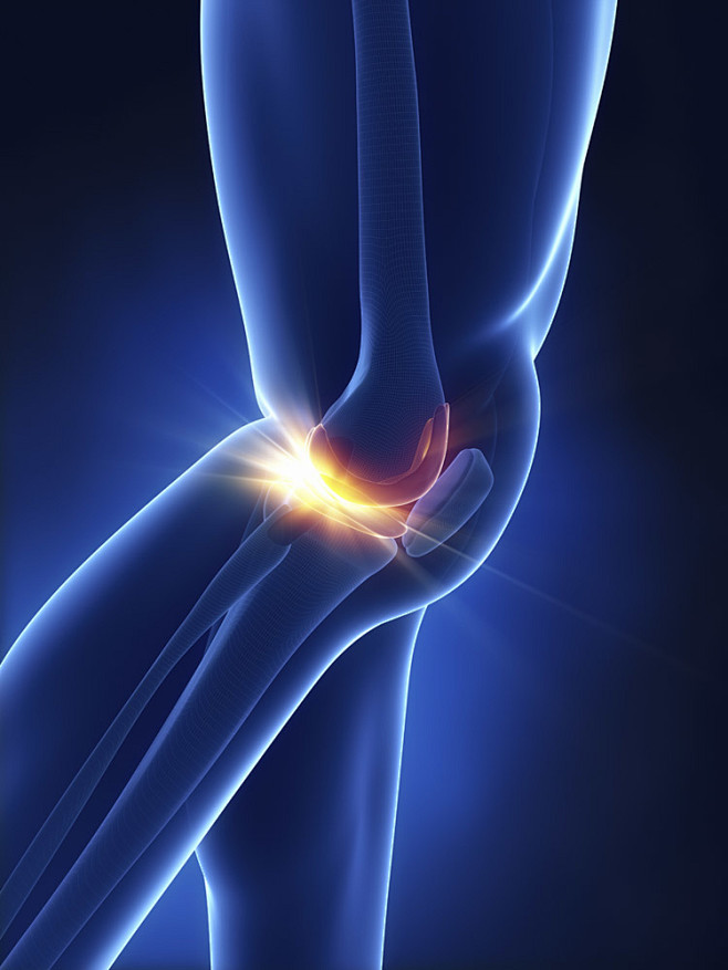 膝盖关节骨骼 图片素材(编号:20130...