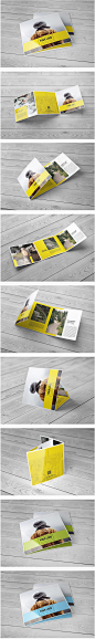 Square Trifold Brochure 2 on Behance