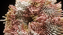 Mad-Dora采集到C4D_Rémi Caussé