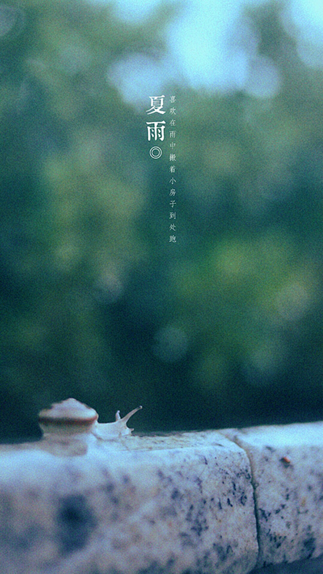 在雨中
