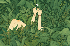 ~荆山野夫~采集到平面