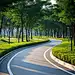 花园公园散步运动道路图片摄影图