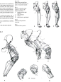 Struttura uomo 3    https://www.pinterest.com/sergmel9/struttura-uomo/: 