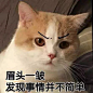 字媒体