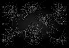 蜘蛛网,符号,昆虫,插画,哥特人,轮廓,白色,黑色,有毒生物体,布置