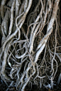 (2) Pinterest