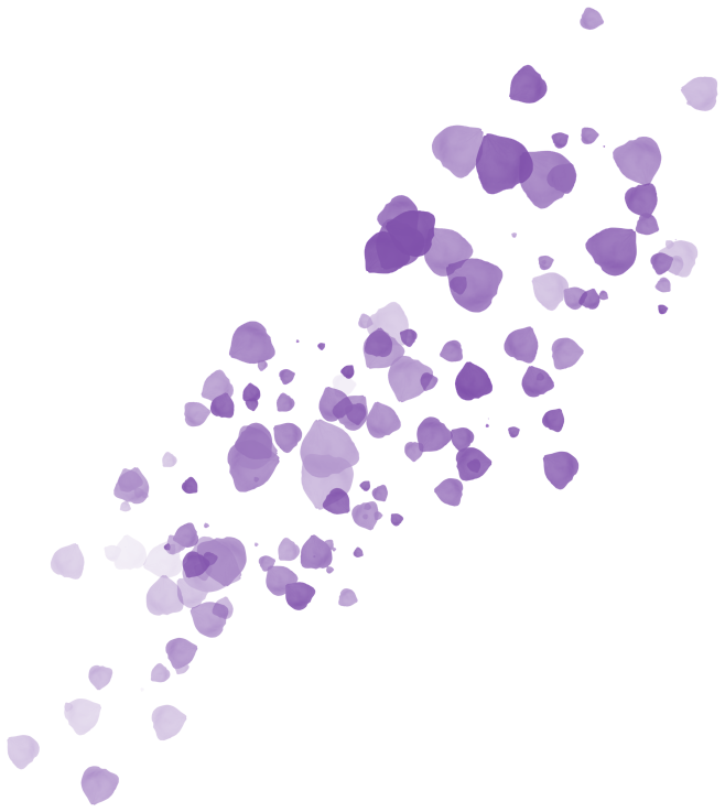  花瓣