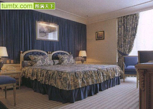 古典风格欧式大户型卧室实景图冷色床