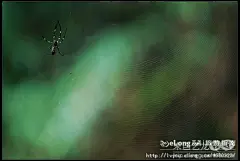 蜀南竹海,阴雨绵绵走蜀南