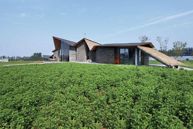 在山东济南的槐荫区,建筑师王泉和蔡善毅设计了一座绿色农庄会所建筑