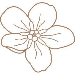 Forget Me Not Flower 01